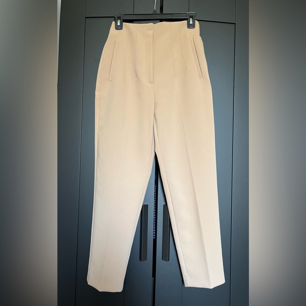 Zara High Waisted Pants